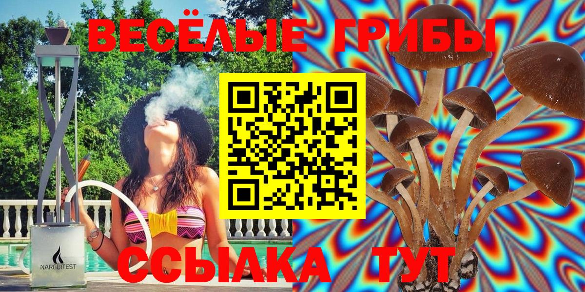 Великий Устюг  Псилоцибиновые грибы Psilocybe  Вход с VPN 