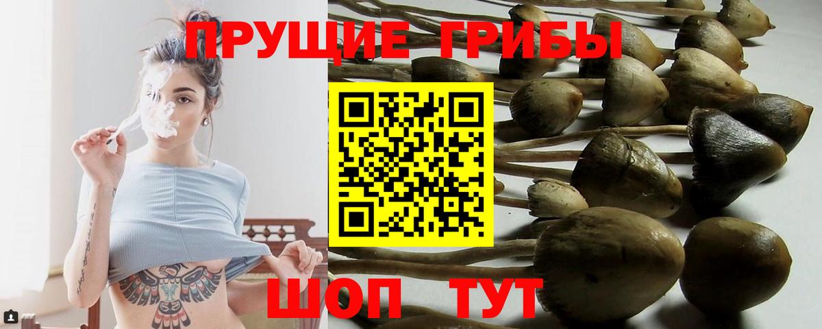 Псилоцибиновые грибы Magic Shrooms Великий Устюг