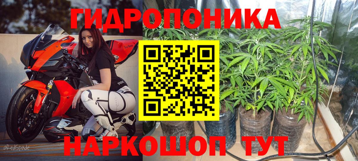 Канабис сатива  Конопля SATIVA & INDICA  Вход с VPN  Великий Устюг 